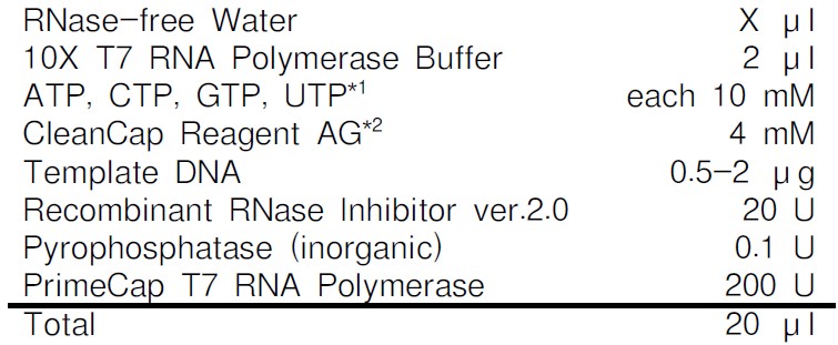 T7 RNA聚合酶 (low dsRNA)PrimeCap&trade; T7 RNA Polymerase (low dsRNA)