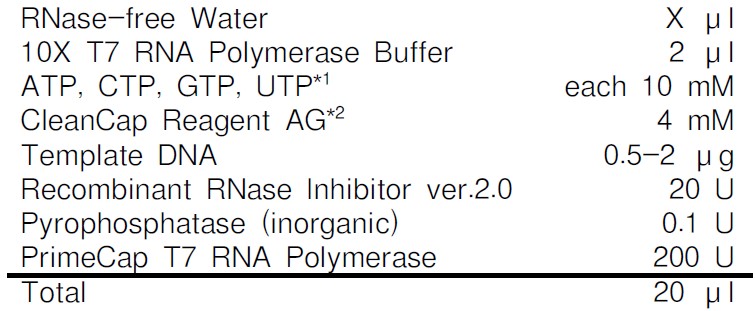 T7 RNA聚合酶 (low dsRNA)PrimeCap™ T7 RNA Polymerase (low dsRNA)