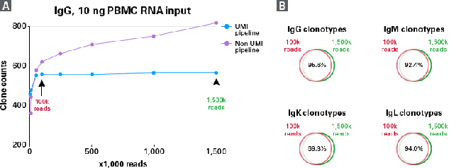 B细胞受体分析SMARTer Human BCR IgG IgM H/K/L Profiling Kit