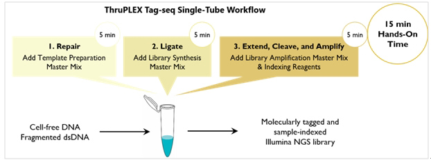 带有UMT的Illumina NGS建库试剂盒ThruPLEX&reg; Tag-seq Kit
