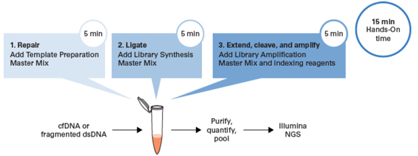 带分子标签的DNA-Seq分析ThruPLEX&reg; Tag-Seq HV & ThruPLEX&reg; Tag-Seq HV PLUS Kit