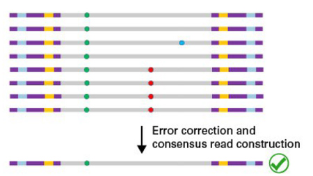 带分子标签的DNA-Seq分析ThruPLEX&reg; Tag-Seq HV & ThruPLEX&reg; Tag-Seq HV PLUS Kit