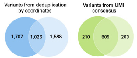 带分子标签的DNA-Seq分析ThruPLEX&reg; Tag-Seq HV & ThruPLEX&reg; Tag-Seq HV PLUS Kit