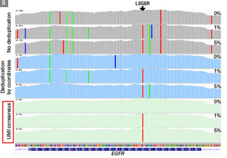 带分子标签的DNA-Seq分析ThruPLEX&reg; Tag-Seq HV & ThruPLEX&reg; Tag-Seq HV PLUS Kit