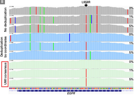 带分子标签的DNA-Seq分析ThruPLEX&reg; Tag-Seq HV & ThruPLEX&reg; Tag-Seq HV PLUS Kit