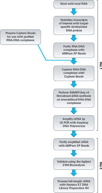 cDNA文库构建试剂盒SMARTer Target RNA Capture for Illumina