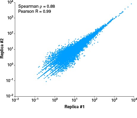 高起始量链特异RNA-Seq分析SMART-Seq&reg; Total RNA High Input (RiboGone&trade; Mammalian)