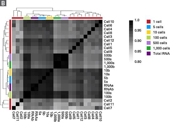 单细胞链特异RNA-Seq分析SMART-Seq Stranded Kit