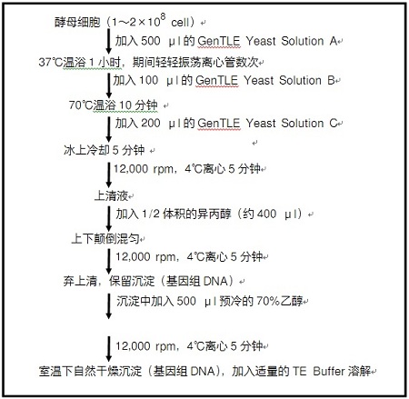 高效提取、精制酵母菌基因组DNA试剂盒Dr. GenTLE&trade; (from Yeast) High Recovery