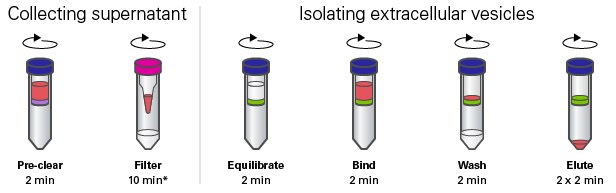 细胞外囊泡提取试剂盒Capturem&trade; Extracellular Vesicle Isolation Kit