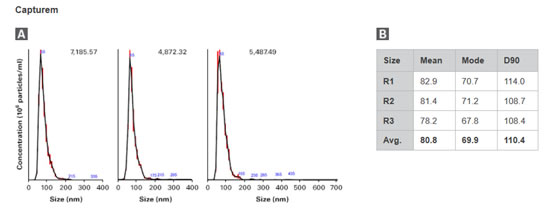 细胞外囊泡提取试剂盒Capturem&trade; Extracellular Vesicle Isolation Kit