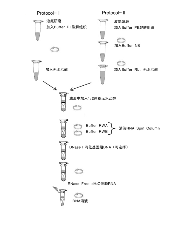 植物RNA提取试剂盒TaKaRa MiniBEST Plant RNA Extraction Kit