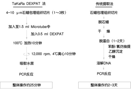 石蜡包埋组织DNA提取试剂TaKaRa DEXPAT&trade;