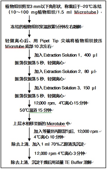 氯化苄法植物基因组DNA提取试剂盒Plant DNA Isolation Reagent