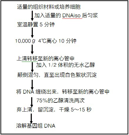 基因组DNA提取试剂DNAiso Reagent