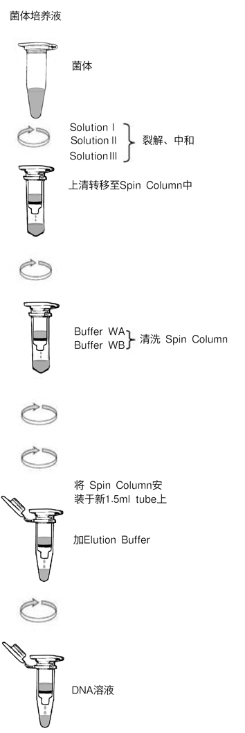 质粒提取试剂盒TaKaRa MiniBEST Plasmid Purification Kit Ver.4.0