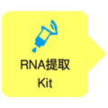 RNA提取试剂RNAiso Plus