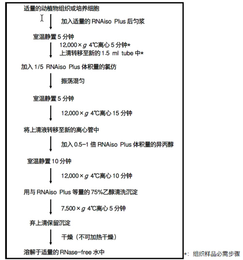 RNA提取试剂RNAiso Plus