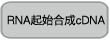 限制性快切酶QuickCut&trade; SnaB I