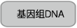 限制性快切酶QuickCut&trade; Sma I