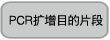 限制性快切酶QuickCut&trade; Nco I