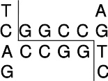 常规限制酶Eae I (Cfr I)