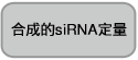 电泳用siRNA marker-siRNA Ladder Marker