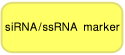 电泳用RNA marker-0.5-10 kb ssRNA Ladder Marker