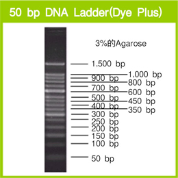 电泳用DNA Marker-50 bp DNA Ladder (Dye Plus)