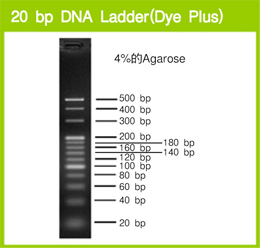 电泳用DNA Marker-20 bp DNA Ladder (Dye Plus)