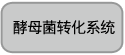 酵母双杂交研究用 GAL4抗体