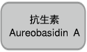 酵母双杂交研究用 GAL4抗体