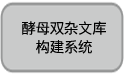 酵母双杂交研究用 GAL4抗体