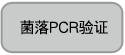 酵母双杂交研究用 GAL4抗体