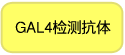 酵母双杂交研究用 GAL4抗体