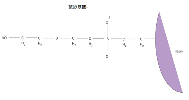 抗体纯化树脂-嗜硫树脂