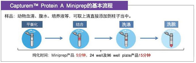 protein A原理的抗体快速纯化柱—Capturem&trade; 膜技术