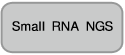 哺乳动物细胞表达载体pBApo-EF1α Pur DNA