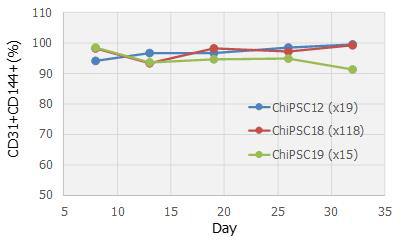 iPS向血管内皮细胞定向分化系统iPS Cell to Endothelial Cell Differentiation System