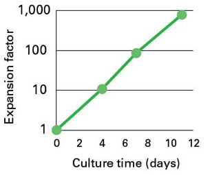 临床前扩增人干细胞培养基Human Stem Cell Culture Medium (DEF-CS Xeno-Free)