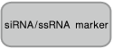 合成siRNA定量试剂盒Synthetic siRNA Quantitation Core Kit