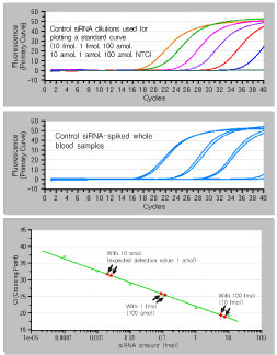 合成siRNA定量试剂盒Synthetic siRNA Quantitation Core Kit