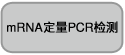 shRNA表达载体pBAsi vector series