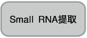 基因表达载体pBApo-EF1α Pur DNA