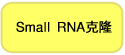 基因表达载体pBApo-EF1α Pur DNA