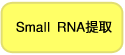 广谱型Small RNA提取试剂RNAiso for Small RNA