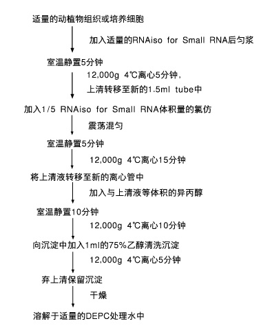 广谱型Small RNA提取试剂RNAiso for Small RNA