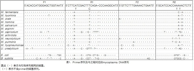 支原体检测试剂盒TaKaRa PCR Mycoplasma Detection Set