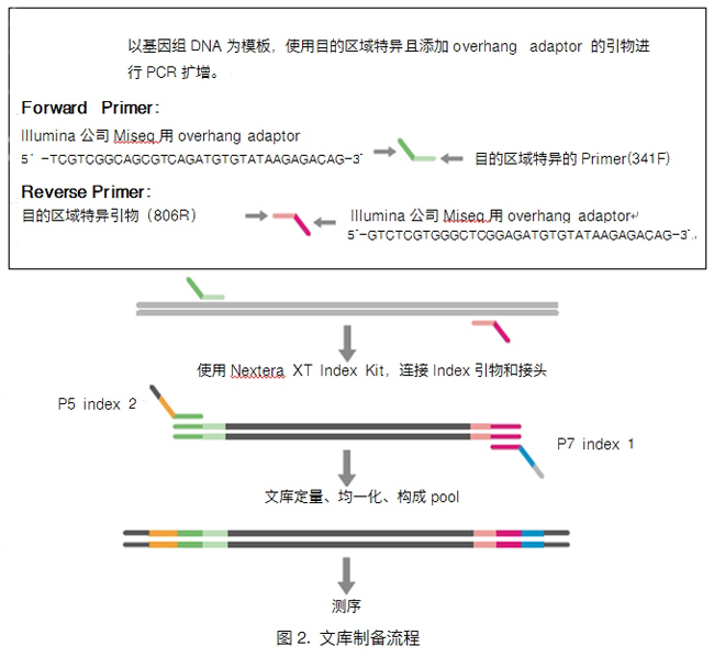 16S (V3-V4) Metagenomic Library Construction Kit for NGS