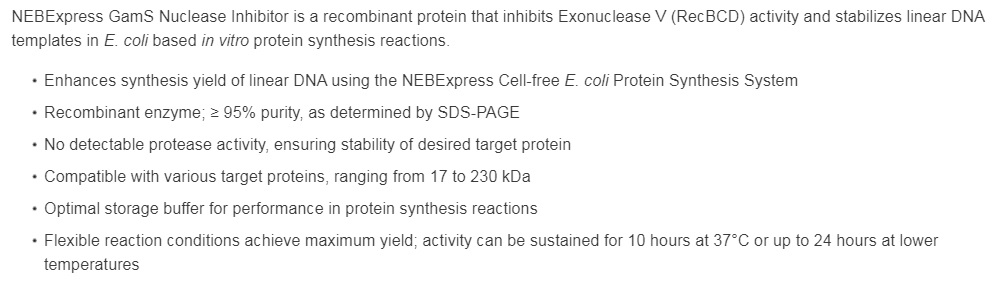 NEBExpress™GamS Nuclease Inhibitor                                  #P0774S 75 µg